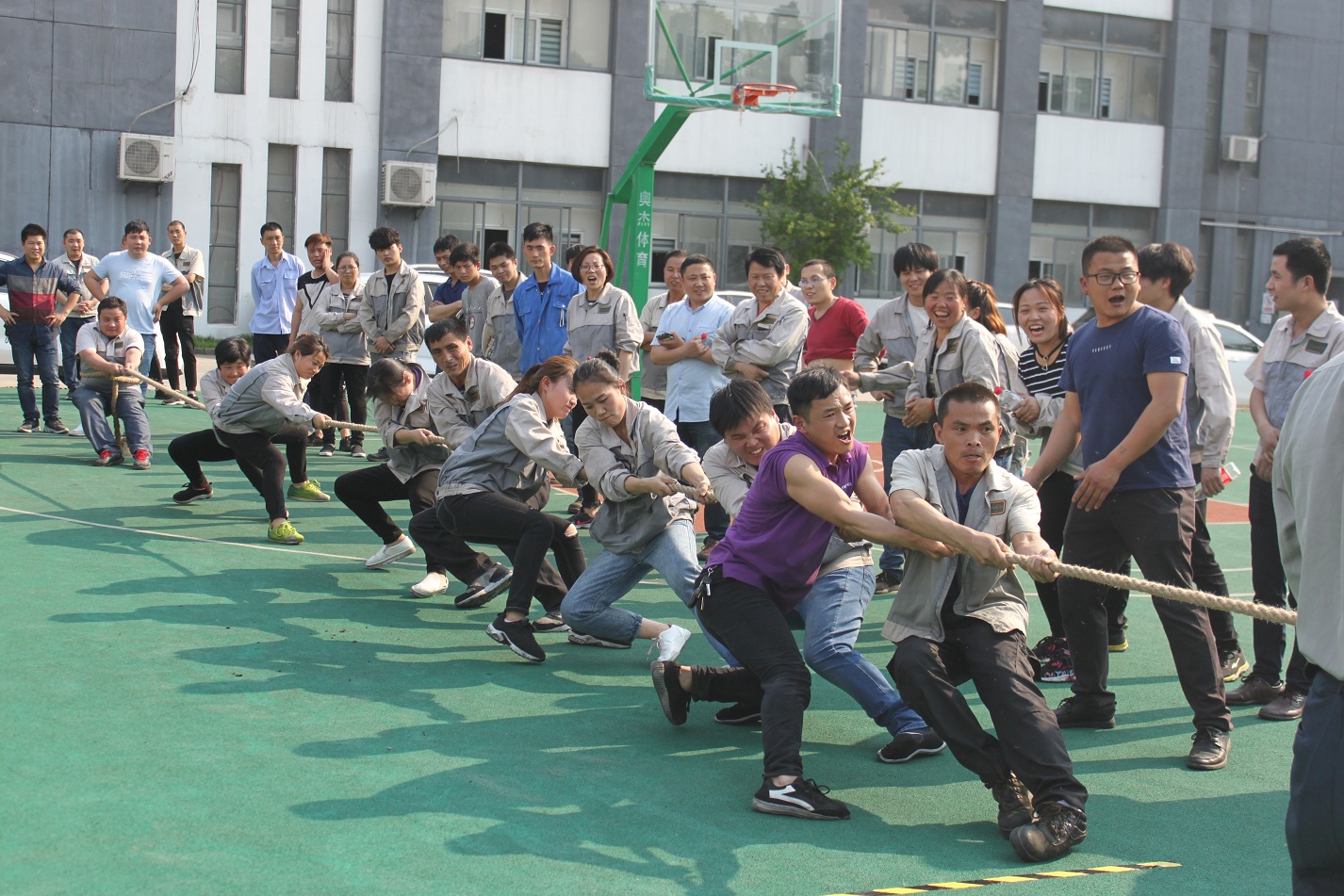 欧博abg - 官方网址登录入口