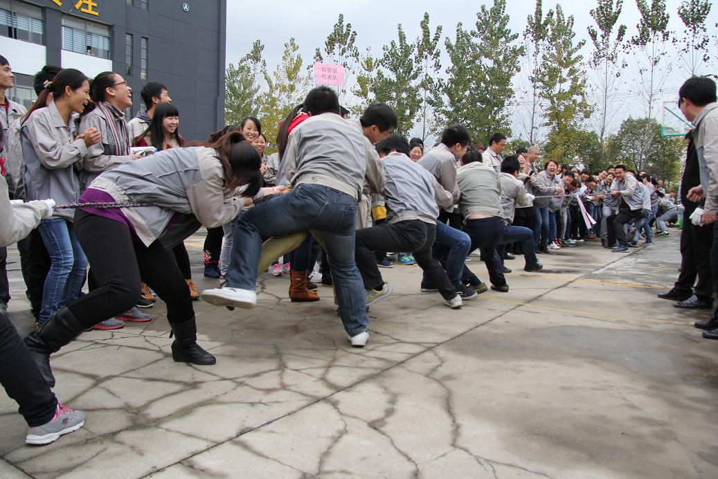 欧博abg - 官方网址登录入口